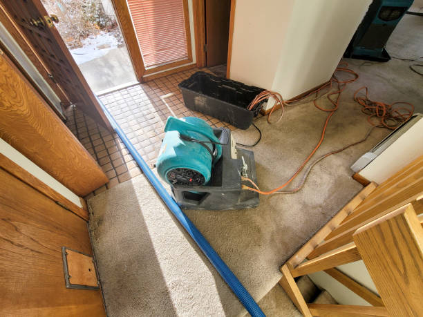 Best Commercial water damage restoration  in Los Gatos, CA