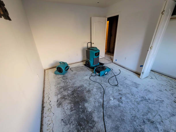 Reliable Los Gatos, CA Water damage restoration Solutions