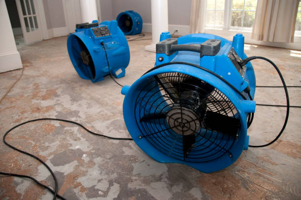 Best 24-hour water damage restoration  in Los Gatos, CA