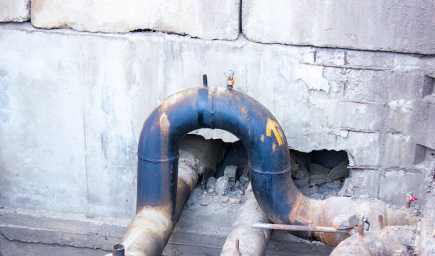 Best Water damage restoration mold remediation  in Los Gatos, CA